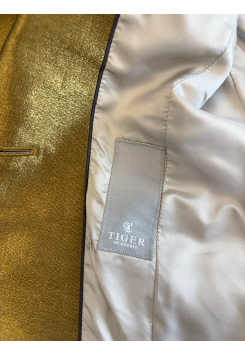 Tiger of Sweden blazer